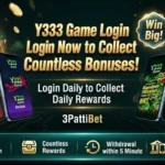 Y333 Game Image